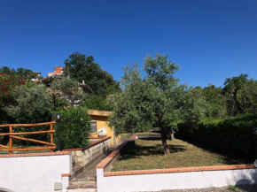 Casa Vacanze Nonna Suocera San Severino